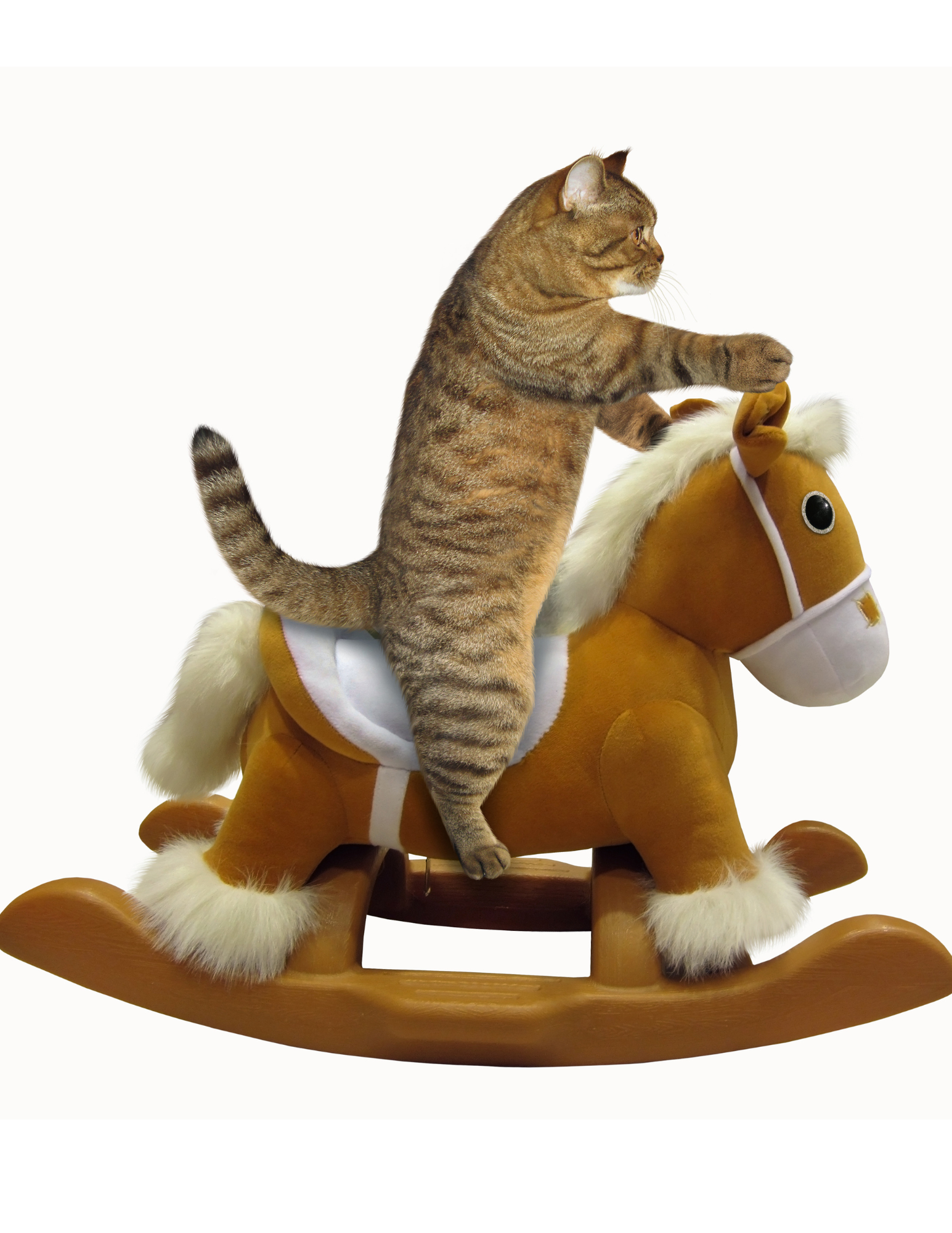 Ride-on toys