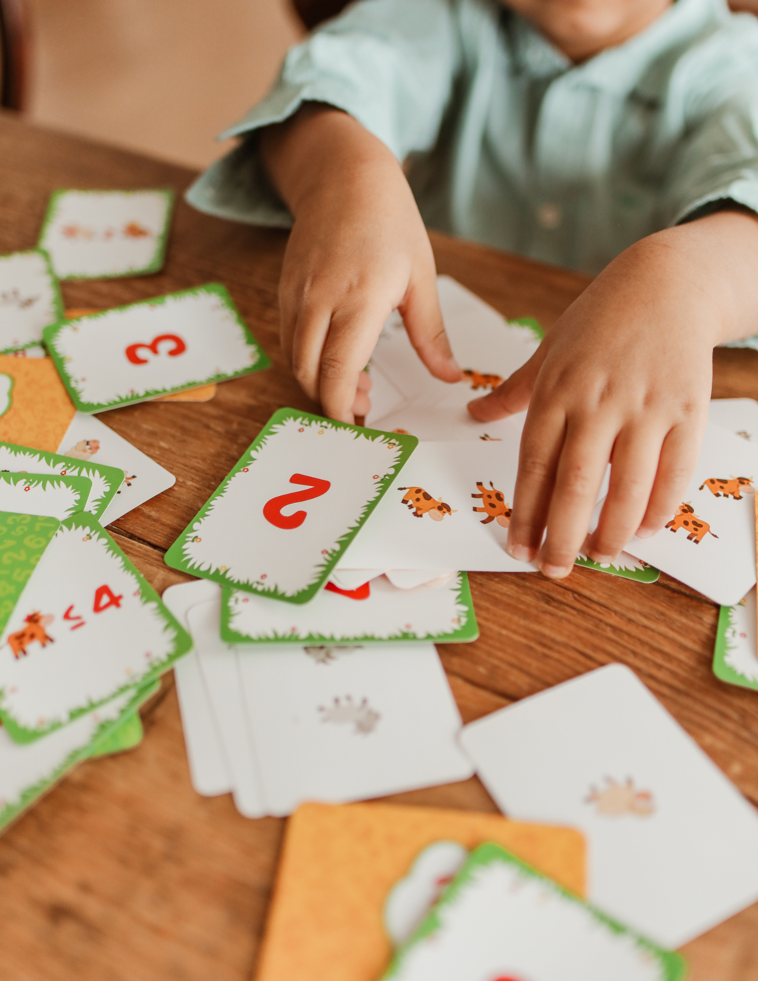 Flashcards