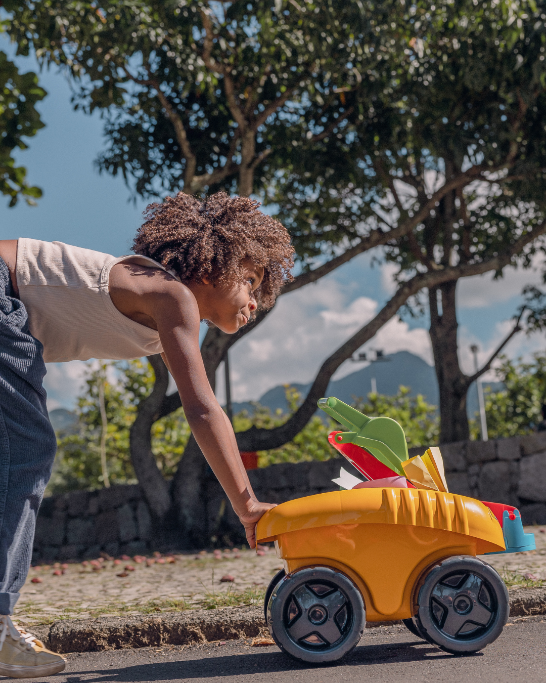 Push and pull toys