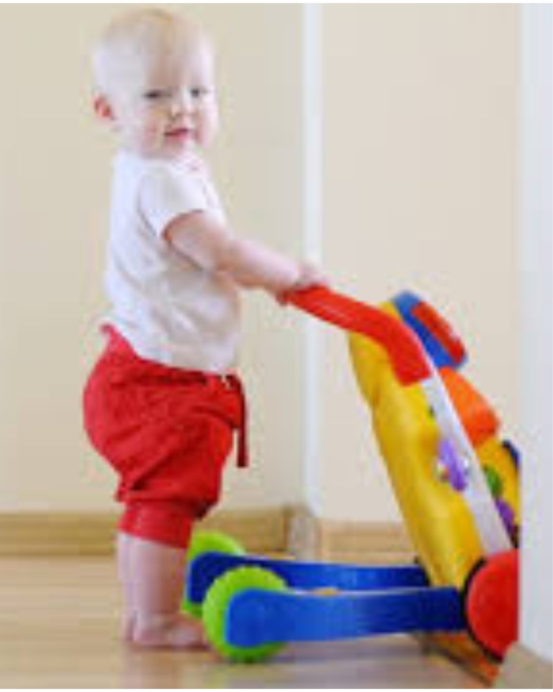 Push and pull toys
