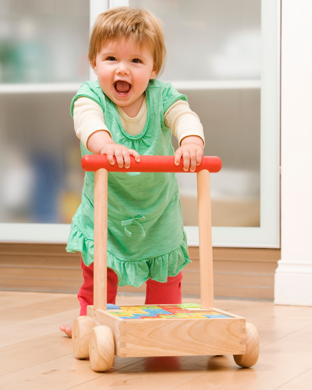 Push and pull toys